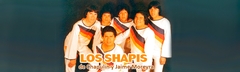 Los-Shapis-2